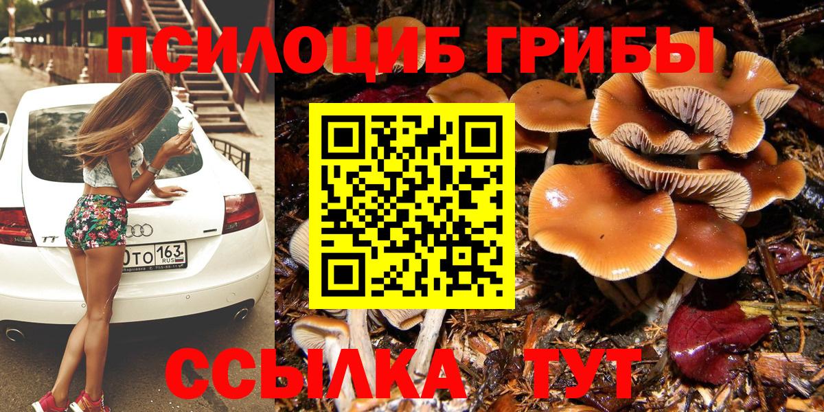 Орехово-Зуево  Псилоцибиновые грибы MAGIC MUSHROOMS  Вход с VPN  Псилоцибиновые грибы мицелий 